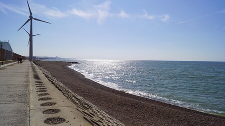 Shoreham Port host environmental Wordfest tours