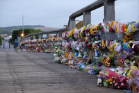 Airshow tragedy