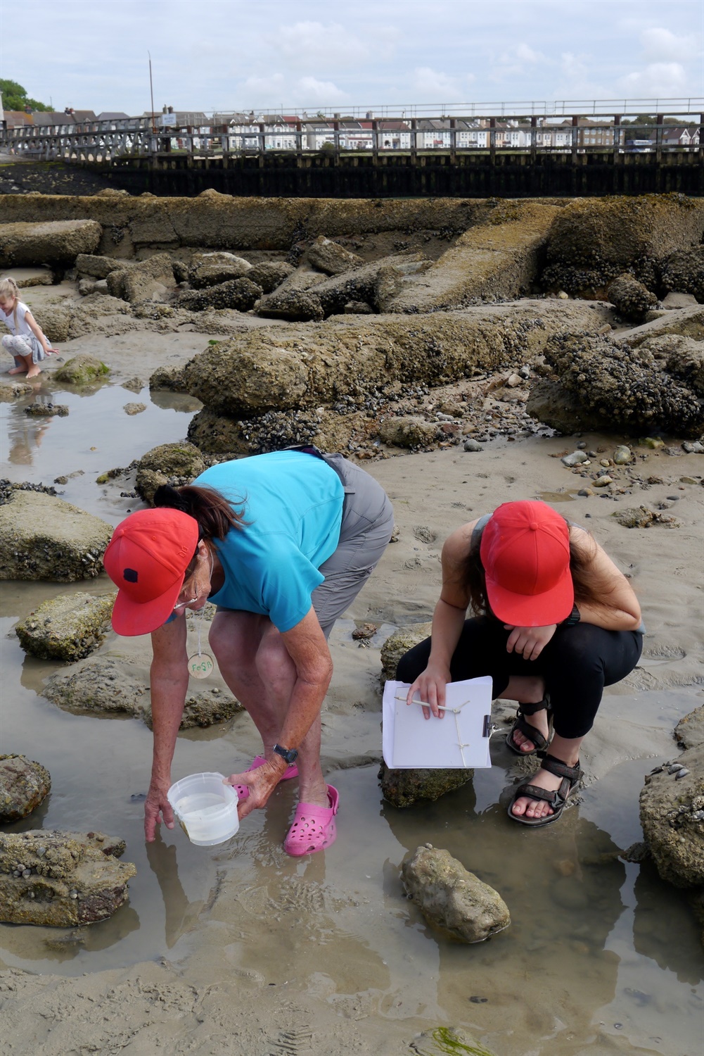 Port sponsor summer rock pooling programme